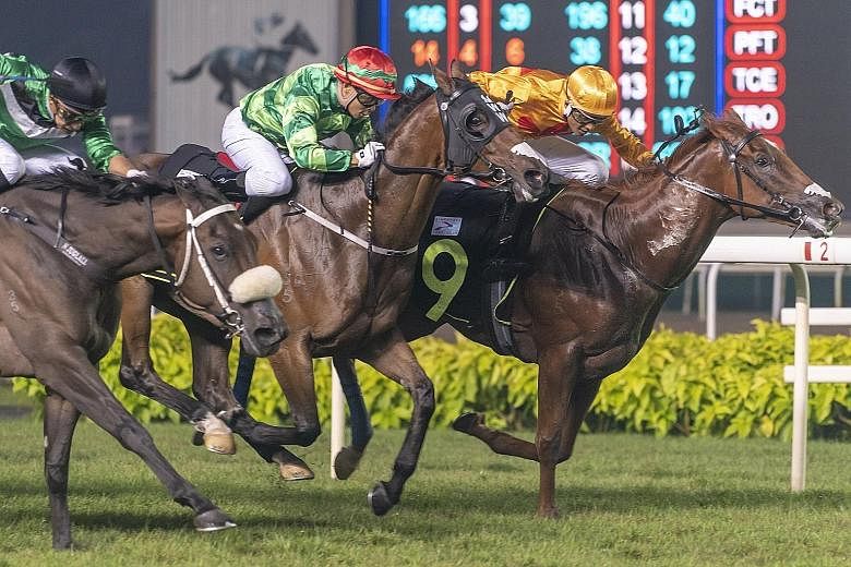 Apprentice jockey M Nizar driving $175 outsider Just Landed (No. 9) to beat the $14 favourite Toosbies (far left) by a head, with a short head to $331 long shot Another Show, in Race 2 at Kranji last night.