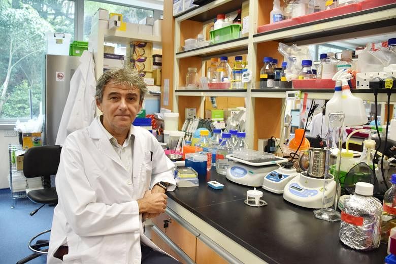 Professor Carlos Ibanez says the use of the molecule to activate the "death receptor" of melanoma skin cancer cells presents an option for a new treatment method for the remaining 45 per cent of melanoma skin cancer patients for whom current treatmen