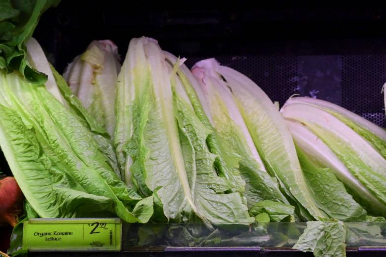 No recall of romaine lettuce yet after US food poisoning outbreak but