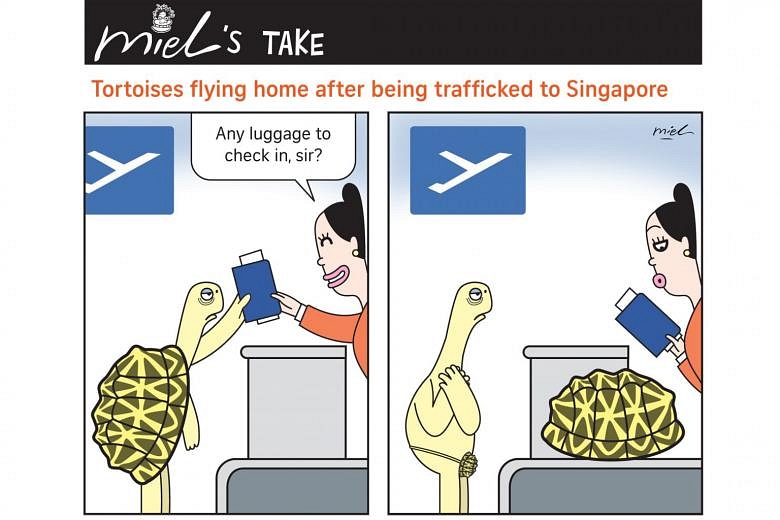 Punchlines Nov 27 2018 The Straits Times 