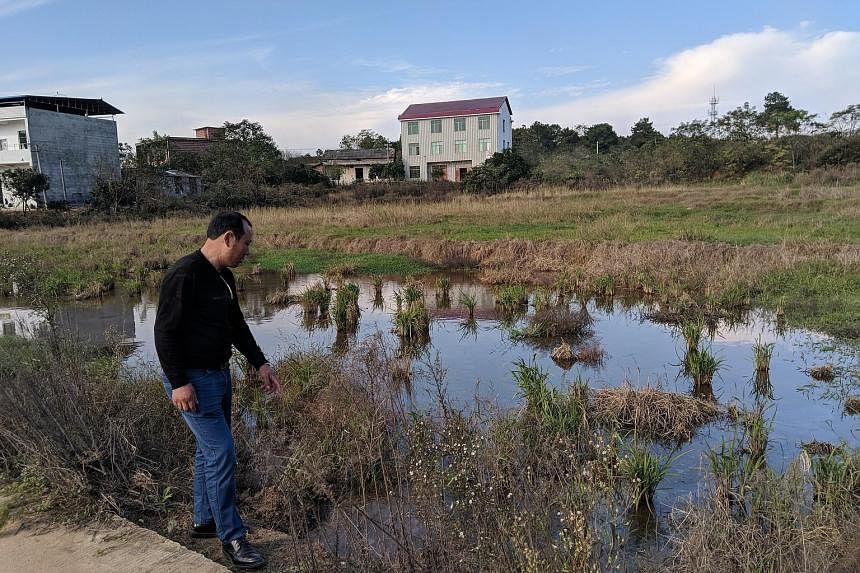 In Shiqiao village, villagers have been living with cadmium-tainted soil for over a decade. Many of them, such as Mr Zhao Guoping, blame the pollution on a nearby chemical-industry park. 