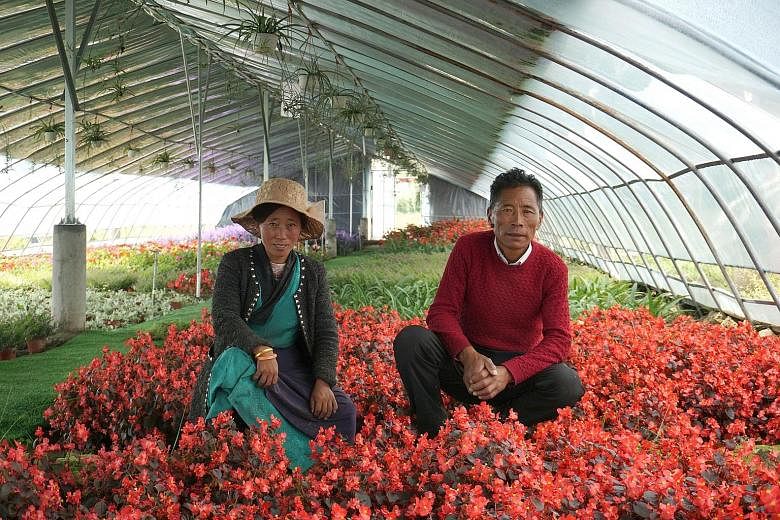 Farmers Lamo Yozhong (left), 33, and Tanzing Laju, 49, in a greenhouse where they work in Qonggyai county. The project is an investment by the local government aimed at paying 3,000 yuan a year to each of the 120 villagers.