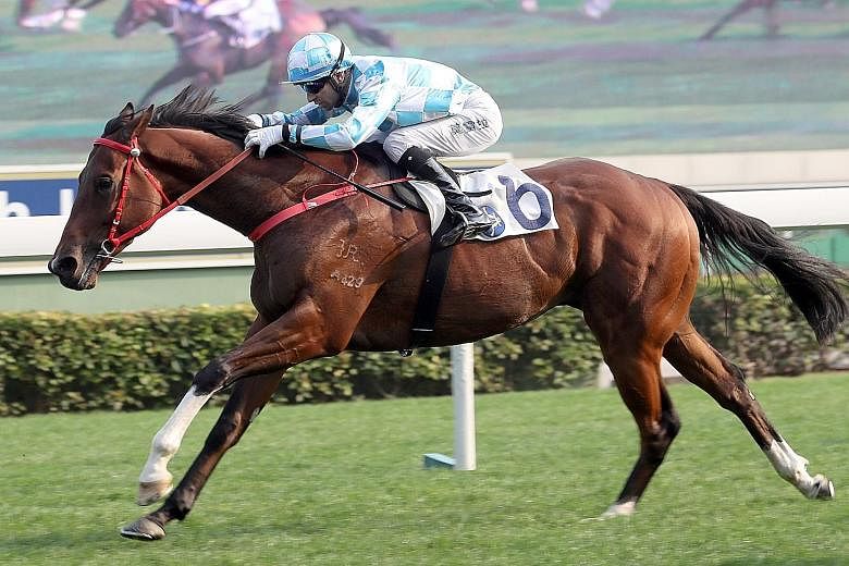 The John Size-trained Conte deserves plenty of respect from a kinder draw in Race 9 in Sha Tin tomorrow.