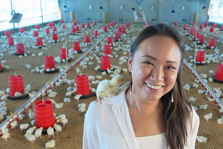 Ms Lam Shu Mei at her Rwanda chicken farm, which she set up to fulfil her father's wish of focusing on social impact projects.