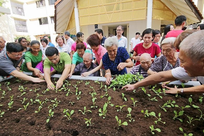 Retiree May Lee leads a team of over 20 gardeners and tends to three flourishing community gardens next to Block 106 Bukit Batok Central. Housewife Low Siew Min is a new volunteer who will look after the newly set-up linear garden. Left: Social and F