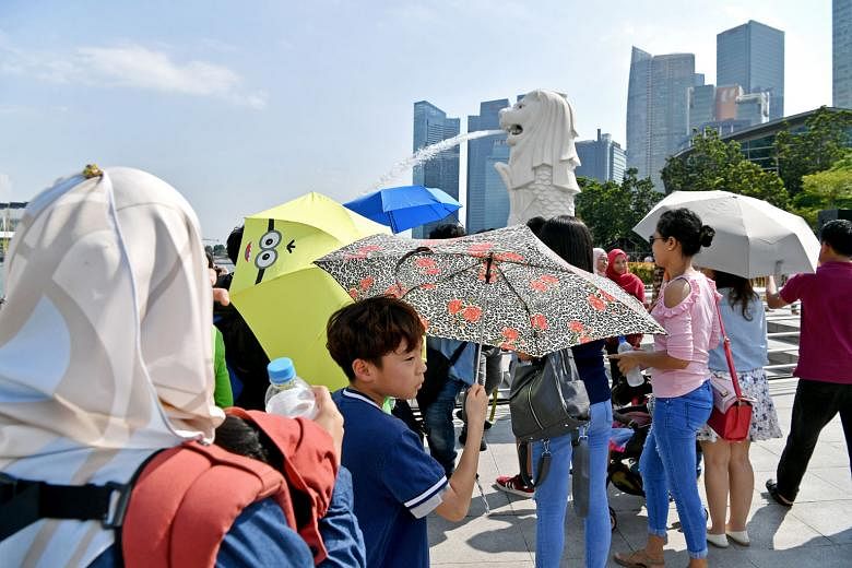 Umbrellas, cover-all scarves and water bottles were out in full force as visitors braved a hotter-than-usual December at the Merlion Park in Singapore. Last month's daily maximum temperature ranged between 32.5 deg C and 34 deg C.