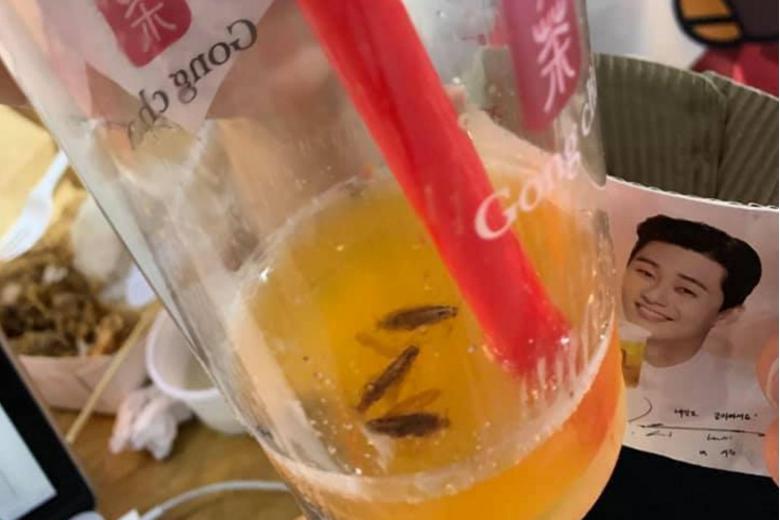 Gong Cha customer in the Philippines finds three cockroaches in his ...