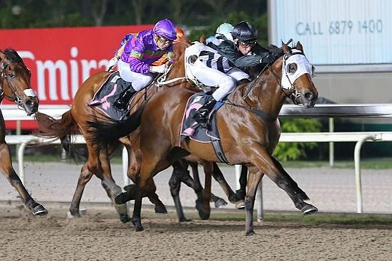 Flak Jacket (black cap) is probably the best of trainer Shane Baertschiger's three runners in tomorrow's $85,000 Kranji Stakes B race over 1,100m. 