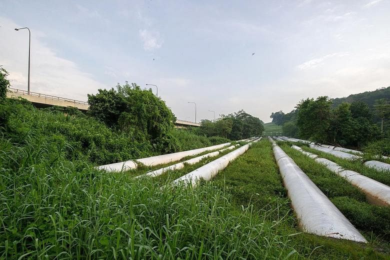 Water pipes beside the Bukit Timah Expressway. Under the 1962 Water Agreement, Singapore is required to supply Johor with 5 mgd of treated water. In practice, the Republic has been supplying 16 mgd to Johor at its request.