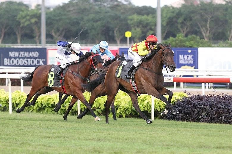 Gold Star (No. 1), the $11 favourite, producing great acceleration in the final 200m to take yesterday's $75,000 Restricted Maiden event over 1,200m on turf at Kranji.
