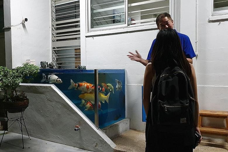 The owner of the flat enclosed the area surrounding the steps up to his ground-floor unit to form a glass tank housing around a dozen pet fish. HDB says the tank's position poses safety concerns.