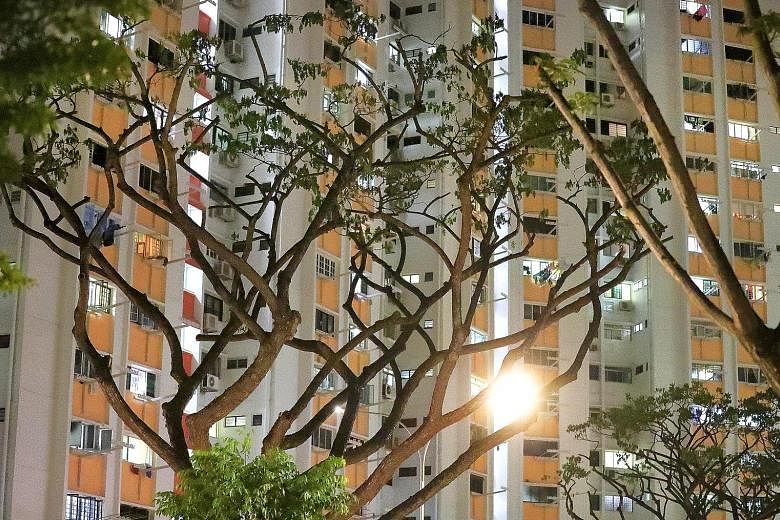 Some 300 trees in the vicinity that the mynahs roost on are being pruned in stages, said Potong Pasir MP Sitoh Yih Pin. Minister for National Development Lawrence Wong said that besides pruning trees, a longer-term measure is to replace the current t