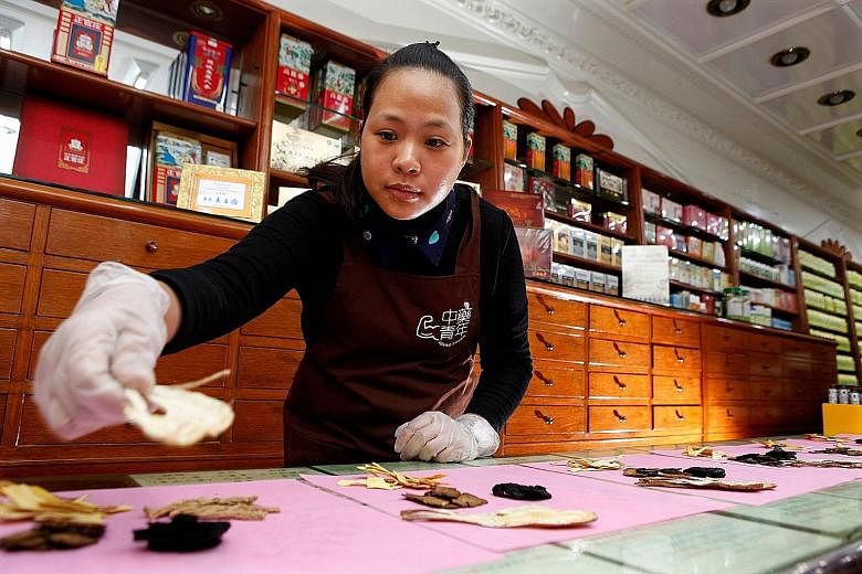 Ms Gu Cheng-pu at work in her family's TCM shop in New Taipei City. Such shops are dying out because the authorities have not issued any new licences since 1998.