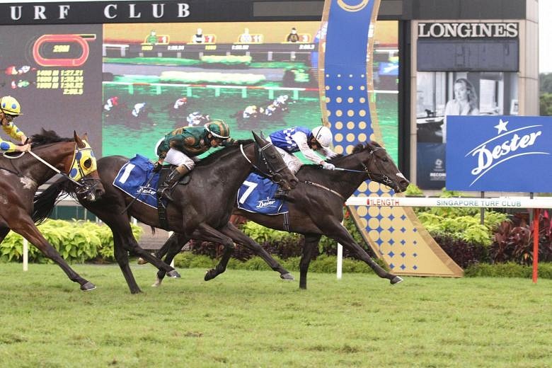 Horse racing Singapore Gold Cup winner Elite Invincible bags