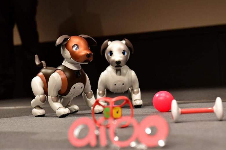 Paw patrol: Sony's robocop dog aibo keeps an eye on the elderly