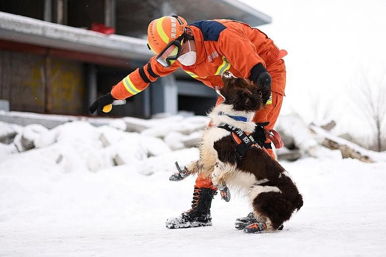 A firefighter and a rescue dog taking part in an earthquake rescue training at a base in Urumqi, Xinjiang Uighur Autonomous Region, China.