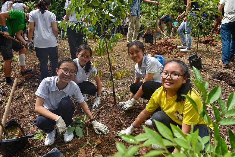 Secondary 3 students from Nanyang Girls' High School Nature Society (from left) Koh Wei Ying, Karis Soh Hui, Rebecca Bo and Ng Shi Hui, all 14, planting trees in Rifle Range Nature Park yesterday. The National Parks Board aims to protect and restore 