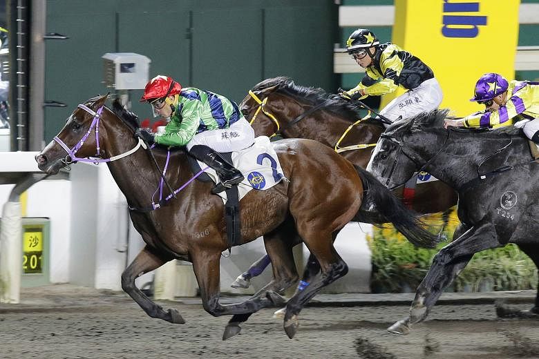 Team Fortune (jockey in red cap) should take tomorrow's Race 6 at Sha Tin if he can get the splits at the right time.