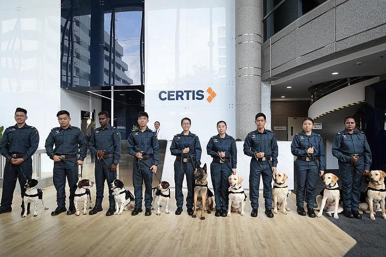 Auxiliary police officer Chan Yubo (third from right) with Thomas the labrador retriever and other dog handlers at Certis K-9, which will work alongside auxiliary police and aviation security officers.