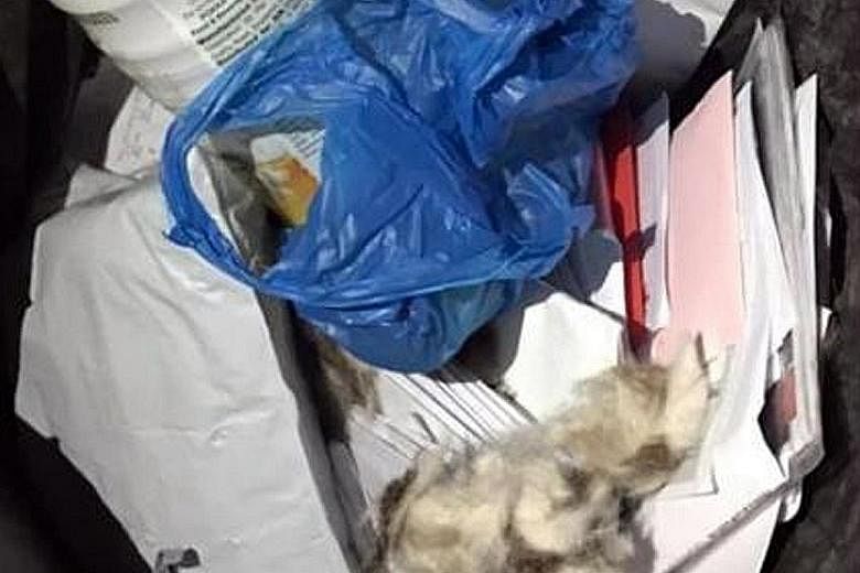 Letters and packages discarded in a rubbish bin, as seen in a photo posted by Facebook user Alyce Kathlyn on Monday.