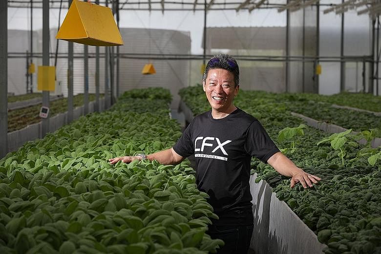 Mr David Tan runs CrowdFarmX, a digital platform that lets farmers monitor their farms anywhere in the world with their smartphones. With blockchain technology, they can sell their products without a middleman.