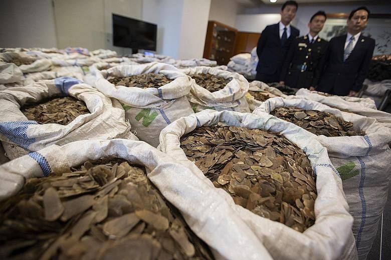 The value of the seized goods - which equates to around 500 elephants and up to 13,000 pangolins - was more than HK$62 million (S$10.7 million).