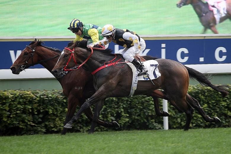 Speedy Dragon (partly obscured) has put two wins together in his last two starts and has struck another suitable race at Sha Tin today.