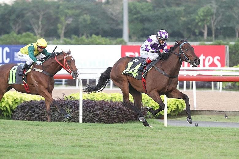 Although rated as only 90 per cent fit by his trainer, CT Kuah, newcomer Winning Hobby (No. 14) made a dream debut with a 21/4-length victory over Super Smart in Race 2 at Kranji last night.