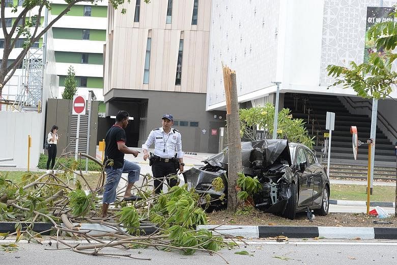 The car's front and hood were severely damaged and bent out of shape after the vehicle breached the kerb and crashed into the tree in Punggol yesterday.