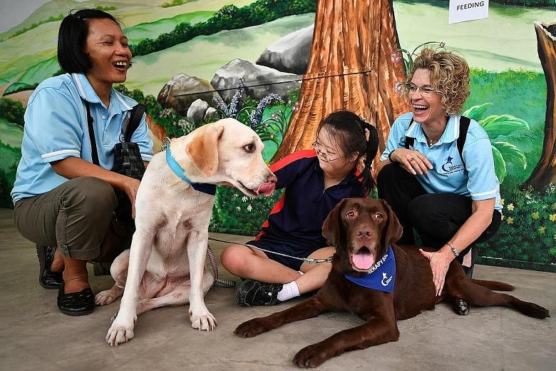 From left: Ms Teresita Tayaban, with her dog Baloo, Cathryn Chan, 15, from Minds' Fernvale Gardens School, and Mrs Kit Heeremans, with her dog Mowli, during the dog therapy session at the book launch yesterday.