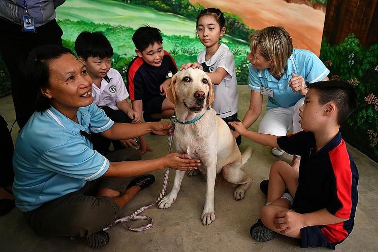 Pupils of Fernvale Primary School and Fernvale Gardens School with therapy dog Baloo and members of Therapy Dogs Singapore yesterday. In line with the plot of the first book (above) in the series, therapy dogs were brought to the book launch for stud