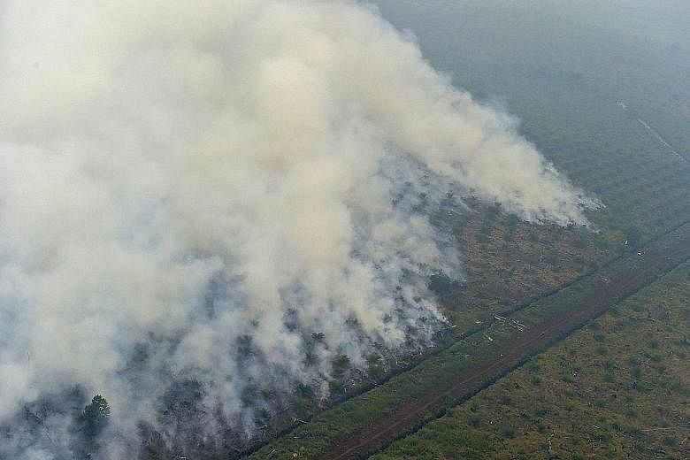 Fires burning in Pelalawan, Riau province, in 2015. The fires caused 140,000 Indonesians to suffer respiratory ailments after being exposed to the choking haze that travelled across borders and blanketed parts of Singapore and Malaysia.