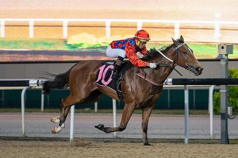 My Dreamliner giving apprentice jockey Iskandar Rosman an armchair ride in Race 3 at Kranji last night. It was a two-from-two feat by the KY Young-trained three-year-old.