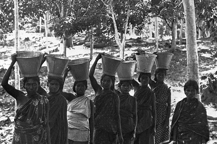 Singapore's first National Day Parade, at the Padang in 1966. In the early 1900s, people made a living growing and selling pineapples. Indian women carrying pails of latex on their heads in a rubber estate in the 1900s.