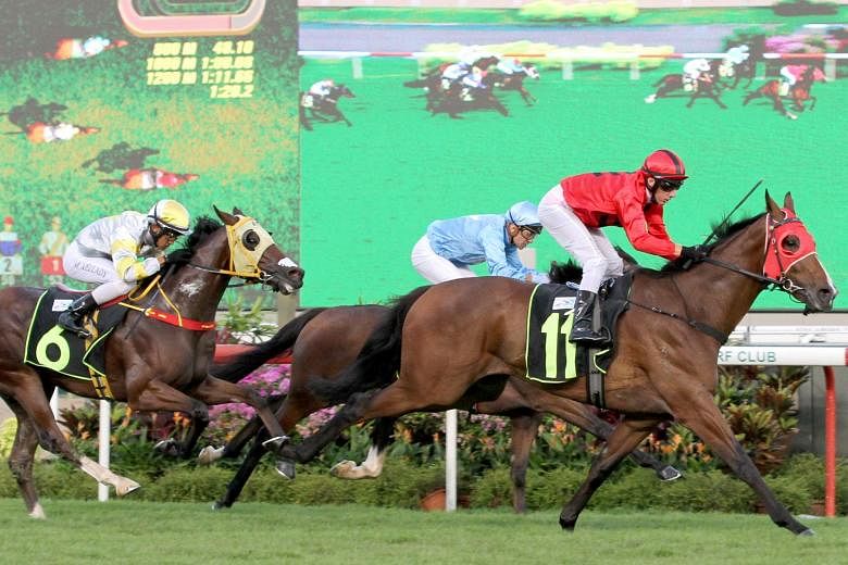 Stay The Course (No. 11) producing a quick turn of foot in the straight to win at his third start at Kranji last night. ST PHOTO: SHAHRIYA YAHAYA