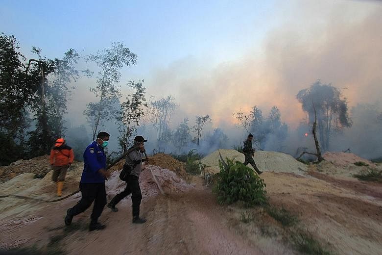 Personnel from the Indonesian disaster management agency, military and police fighting forest fires that spread towards a village in Dumai in Riau. Hot spots have been detected in the province's coastal regions.
