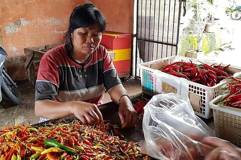 Chilli vendor Binti Cholifah will be voting for the Joko Widodo-Ma'ruf Amin team. She says her family is a beneficiary of initiatives introduced by President Joko. Indonesia's vice-presidential candidate Sandiaga Uno signing a T-shirt for a supporter
