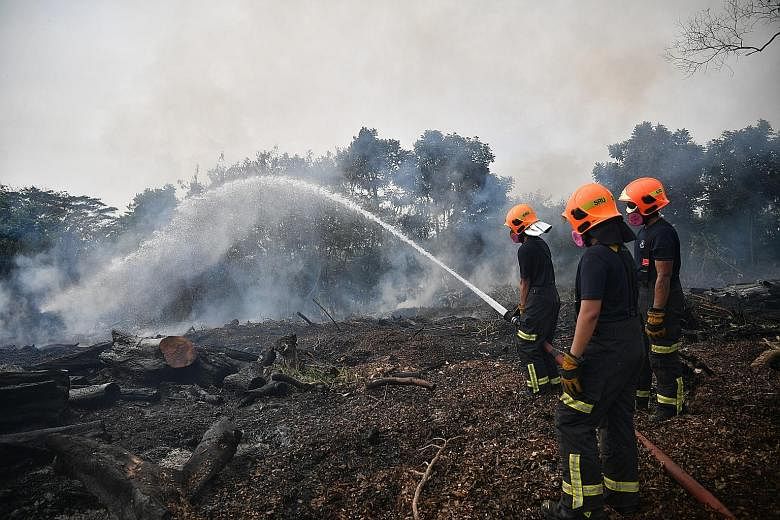 The SCDF brought the vegetation fire under control at 2am yesterday. It said at 10am yesterday that damping down operations were under way to prevent any rekindling from the hot burnt surfaces. The deployment yesterday was one of the longest such ope