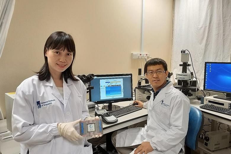 Dr Kong Say Li (left) and Dr Li Huipeng led the development of CORTAD-seq. The tool will help scientists understand how cancer cells mutate and develop drug resistance.