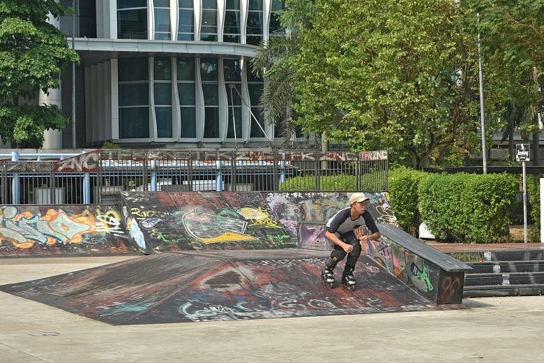 The Skate Park is part of the Somerset area that has been designated a Youth Belt, spanning the area from *Scape to the junction of Somerset and Killiney roads. For a start, young people will have a voice in revamping the Somerset area as part of larger p