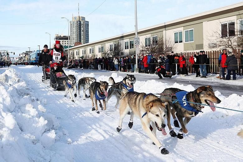 Aliy Zirkle and her dogs head out at the ceremonial start of the 47th Iditarod Trail Sled Dog Race in Anchorage.