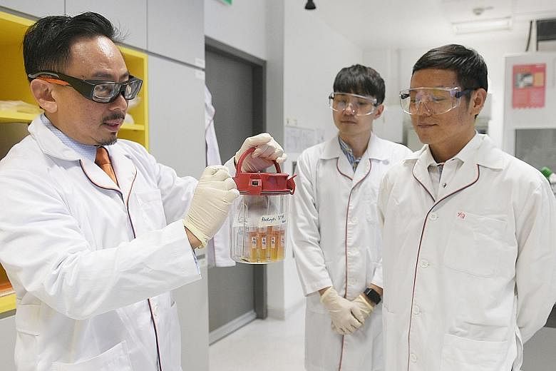 Associate Professor Kevin Tan showing the Blastocystis organism in its storage container yesterday. With him are post-doctoral research associate Chin Wen Png (centre) and Associate Professor Zhang Yongliang.