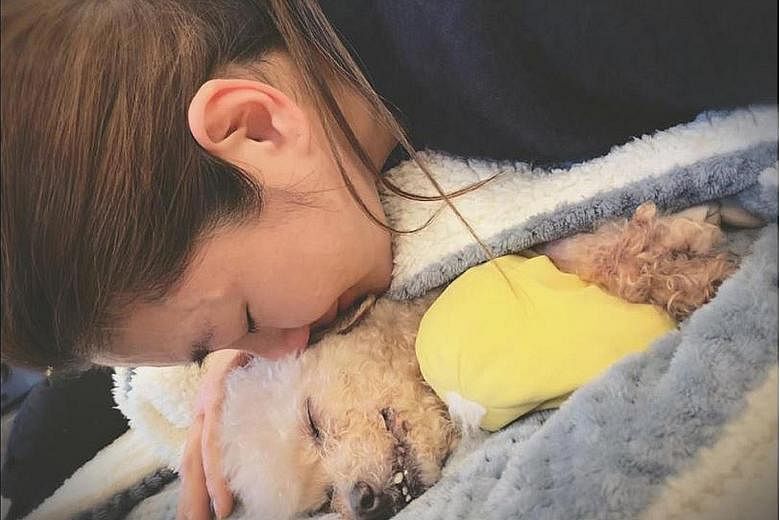 GOODBYE, MY BELOVED: Taiwanese singer Selina Jen paid an emotional tribute to her dog Pinky after it died on Wednesday. In a tribute posted on her Instagram, Facebook and Weibo accounts, the S.H.E singer said: "My baby, my beloved dog, my princess - 