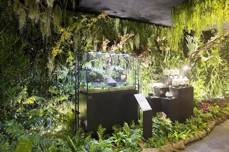 A terrarium exhibit at last year's Singapore Garden Festival (SGF). This year's SGF Horticulture Show will also feature terrariums.