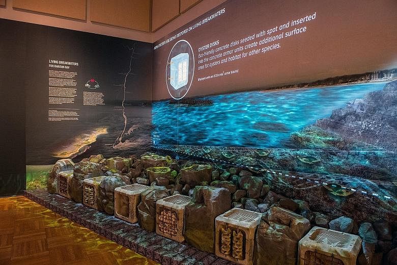 The Living Breakwaters installation at the New-York Historical Society's Hudson Rising climate exhibition. The show highlights activism over the years to save the Hudson River.