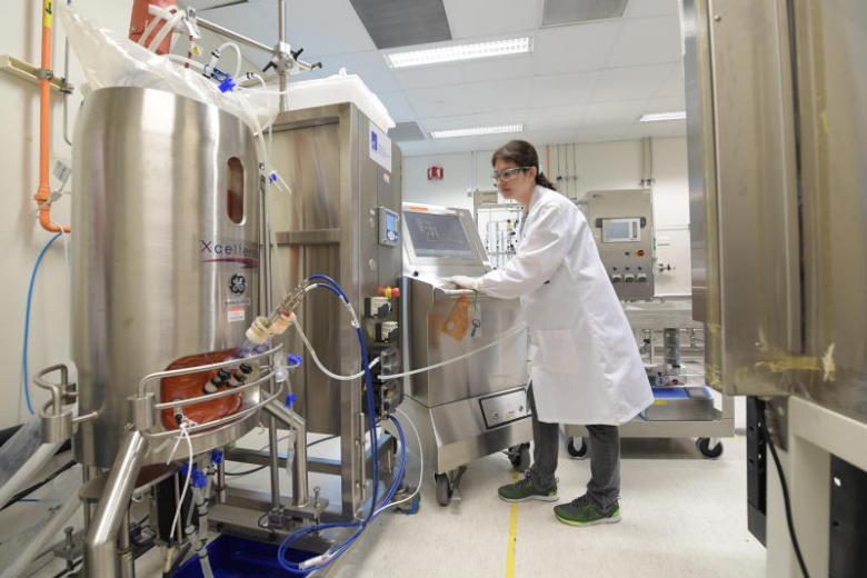 Future food Growing meat in lab to help meet supply needs The