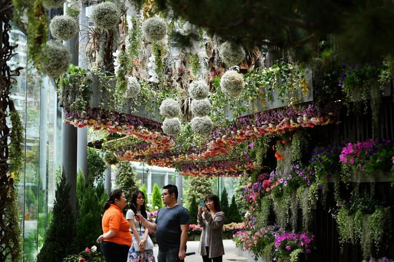 New floral showcase at Gardens by the Bay to open in April The