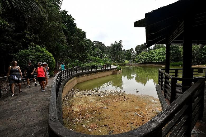 The Botanic Gardens' Eco Lake (above) and Symphony Lake (right) remained dry yesterday despite heavy rain over the past few days. Singapore saw drier and warmer than usual conditions last month, and warm and wet conditions are expected to prevail thi