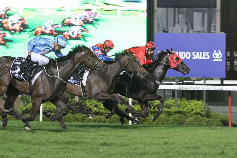 The Shane Baertschigertrained Bold Thruster holding on tenaciously to beat the Michael Clements-trained pair of Top Knight (outside) and Siam Vipasiri (centre) in last night’s $175,000 Group 3 JBBA Singapore Three Year-Old Sprint over 1,200m at Kranji.