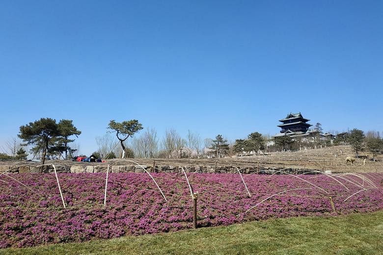 A hill was created on the site, with the Yongning Pavilion on top, offering a panoramic view of the grounds and mountains surrounding it.